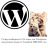    131   Wordpress     Goodwin 2008-2011   