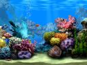 Living Marine Aquarium  