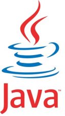 Java SE Runtime Environment 6.0 Update 26 (x64)  