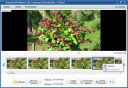 ThunderSoft Video to GIF Converter 1.4.4.0  