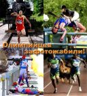 51 смешная фотожаба на тему "Олимпийские игры"! скачать бесплатно