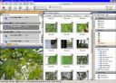 ACDSee 10 Photo Manager  