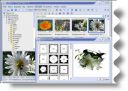 FastStone Image Viewer 5.3  