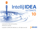 IntelliJ IDEA 10  