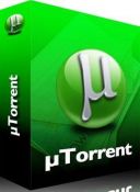Torrent 2.0.4 Build 22967 Stable + Lang Pack  