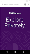 Tor Browser 10.5.10_91.2.0  Android  