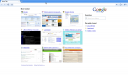 Google Chrome 3 dev (amd64)  