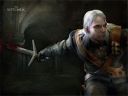 The Witcher  