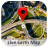 Live Earth Map 2.3.1  Android  
