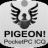 PIGEON v 1.1.0.140  24.07.2008  