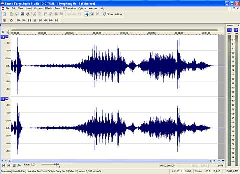 ���� ���������