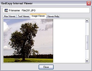 Просмотр файла