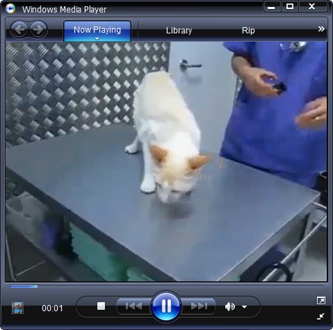 �������� ������������ ������