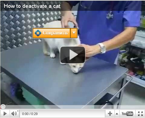 ������ ���������� ������