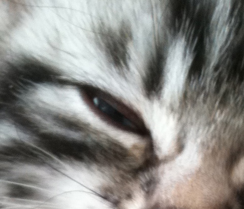 Тот же фрагмент в оригинале