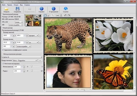 ���� ���������