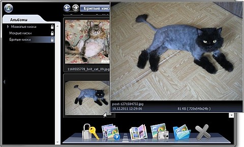 �������� ����������