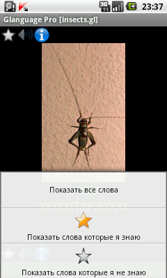 Фильтр карточек урока