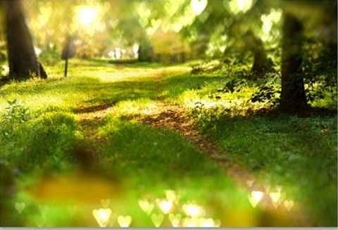 ��������� ����