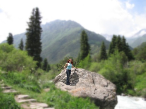 ������ �����������������