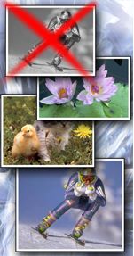 Similar Images Finder - программа для поиска одинаковых и похожих изображений