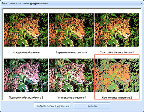 ������ ��������