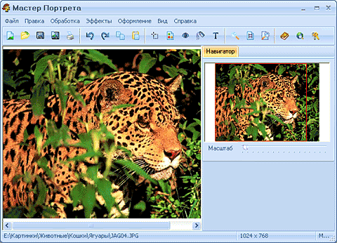 ������ ��������