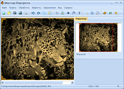 ������ ��������