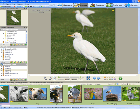 Artensoft Photo Editor