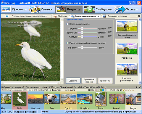 Artensoft Photo Editor