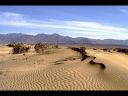 Desert Dunes  