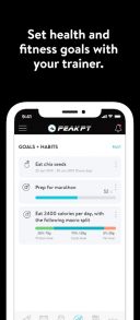 PEAK PT скачать бесплатно