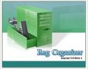 Reg Organizer 5.0 beta 1  