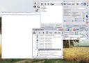 InqSoft Window Scanner (1.7)  