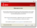 Java SE Runtime Environment 8 Dev. Build b58 (x86)  