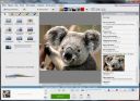 Picasa 3.9.0 Build 135.93  