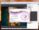 CosmeticGuide1.1  