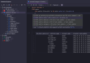 DataGrip ������� ���������