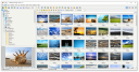 FastStone Image Viewer скачать бесплатно