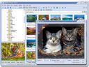 FastStone Image Viewer 3.4 Final  