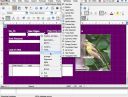 NeoOffice 2.2.2 Eng [Intel only] [Mac OS X 10.3  ]  