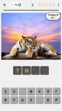 Zoo Quiz  