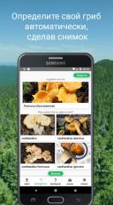 Mushroom Guide скачать бесплатно