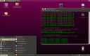Сборка дистрибутива от компании Runtu на базе Ubuntu 10.04 LTS с окружением Gnome. скачать бесплатно