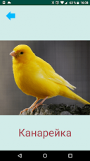 ����� �������� 3.7.3 ��� Android ������� ���������