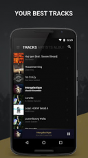 BlackPlayer 3.09  Android  