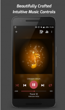 Pi Music Player 3.0.9.0  Android  