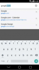 Google Chrome 101.0.4951.61  Android  