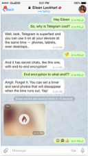Telegram Messenger 7.3.1  iOS  