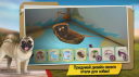 DogHotel -    2.1.10  Android  